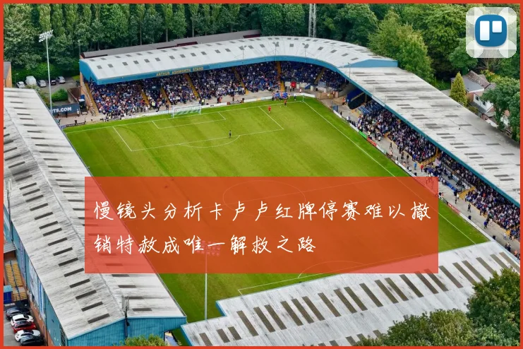 慢镜头分析卡卢卢红牌停赛难以撤销特赦成唯一解救之路