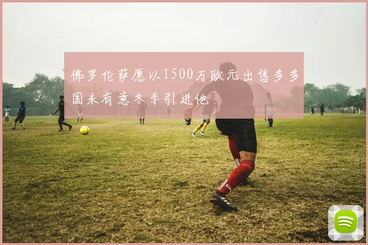 佛罗伦萨愿以1500万欧元出售多多国米有意冬季引进他